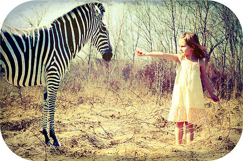 2w9xxxqfflp94zxzp23xiuxro1_500