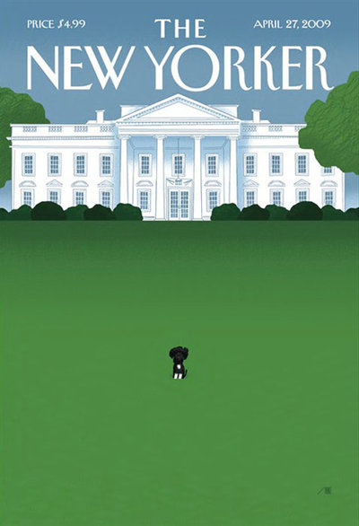 c8lu2cz6umndpgvf4sihozl4o1_400