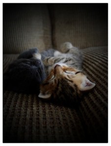 fuwsexqmxjg0986werx0f8pbo1_400