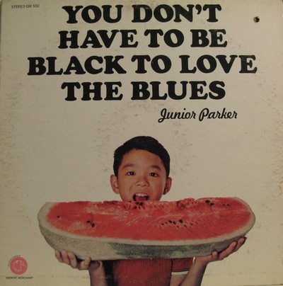 you don't have to black to love the blues