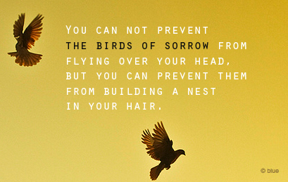 agxlnxzV0qaklggrTuX1UIiVo1_500