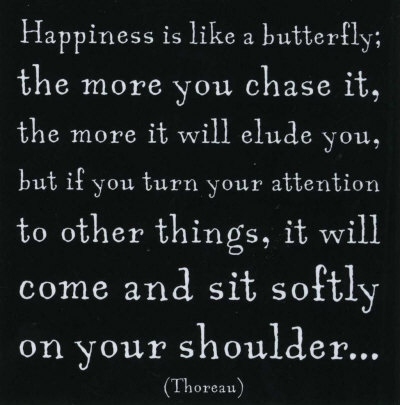 happiness is like a butterfly