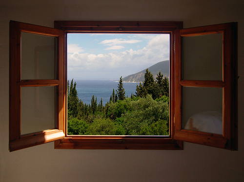 nature window with a view