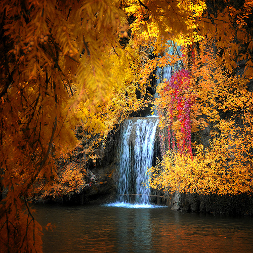 fall waterfall