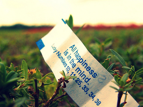 NpWP35ZRalqv700zFeB908r6o1_500