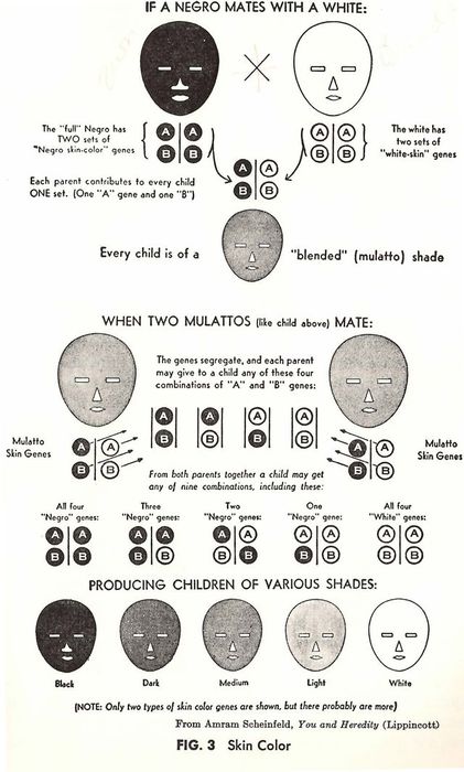 1962 high school book on marriage