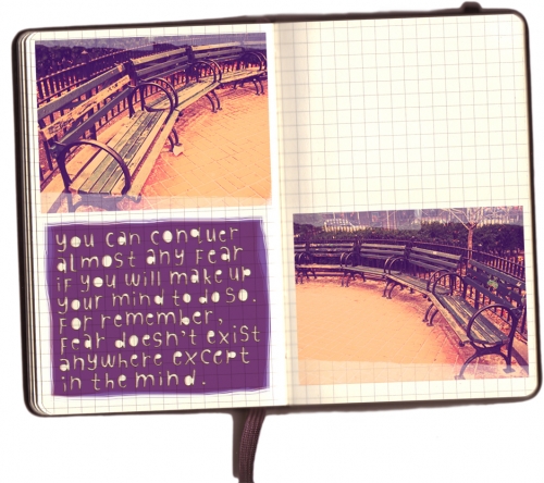 you can conquer almost any fear if you make up your mind to