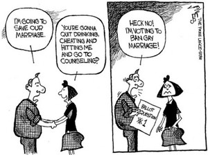 gay marriage cartoon-thumb-300x224