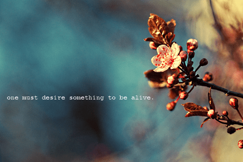 one must desire something