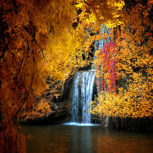 fall gold and red waterfall
